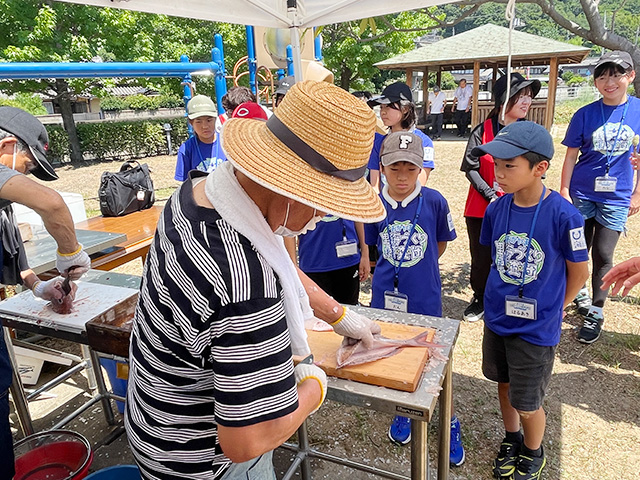 瀬戸内海でとれた「マダイ」を食す！さて、瀬戸内海は豊かな海か？