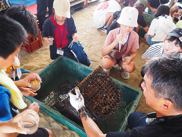 魚の住みやすい家とは？ 「人工魚礁」を調査しよう！