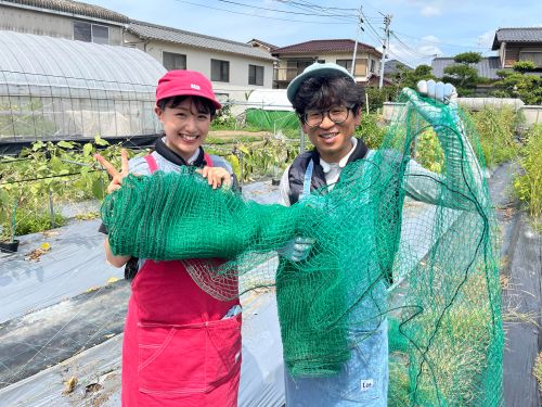 台風対策の網ネット