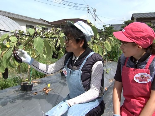 ナスを収穫するたむたむ