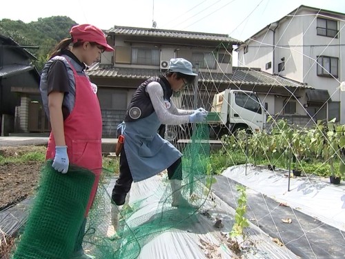 防獣ネットをくくりつけるたむたむ