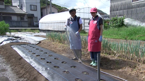 水やり中