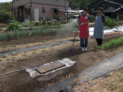 水やりをする難波リポーターとたむたむ