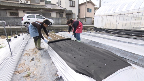 シートを敷くたむたむと難波リポーター