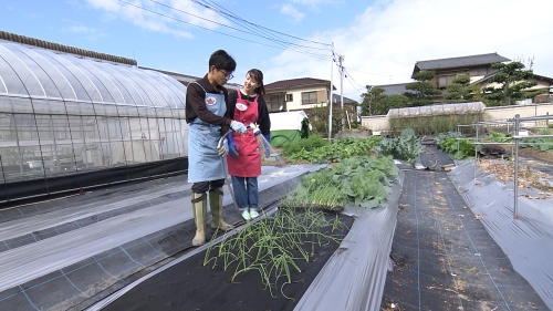 水やりをする様子