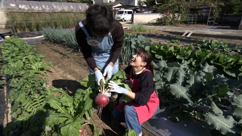 「もものすけ」を収穫！