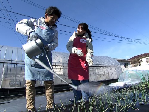 追肥のあとの水やり