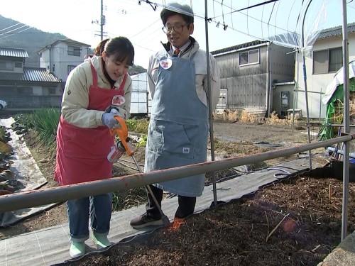 畝を焼いている難波リポーター