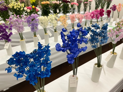 岡山県内の生産者が愛情込めて育てた花