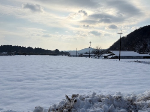 雪が積もっている蒜山の畑