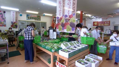 お店の入り口にはどど～んとブドウ