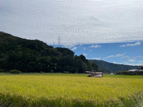 神尾さんの田んぼ