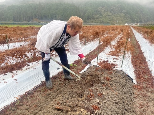 作業中のハロー植田さん2