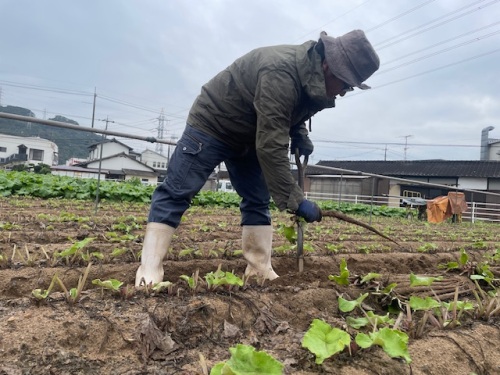 農作業をされている太田さん