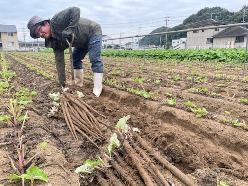 農作業をされている太田さん2