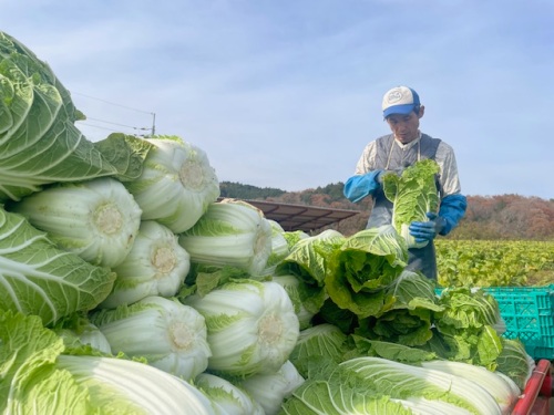 農作業をしている片山さん