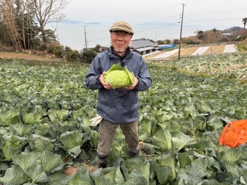 JA岡山 牛窓キャベツ部会 太田 修 部会長