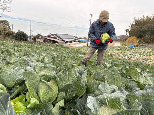 作業をされている太田さん