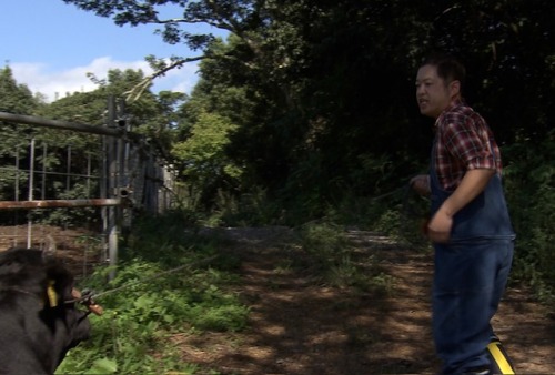 ハローさんも挑戦