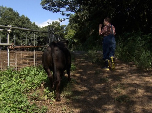 しぶしぶ前へ歩いてくれました