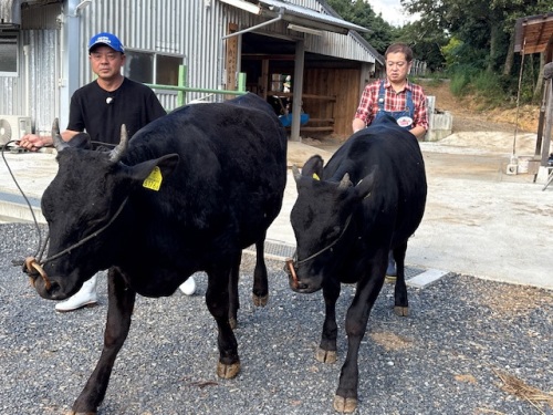 まっすぐ歩く、止まる、そして姿勢よく待つ