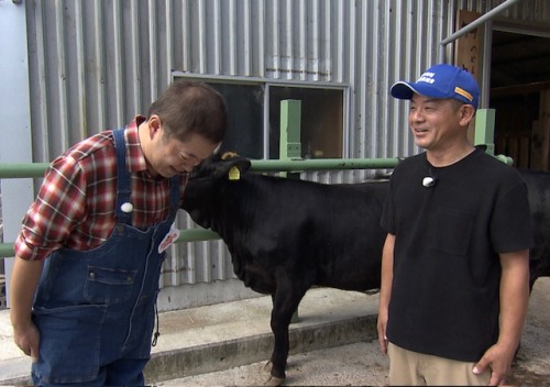 いつか僕のことも調教してください