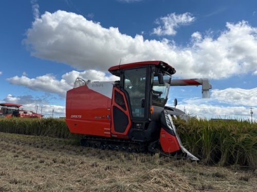 稲刈りシーズンがやってきました