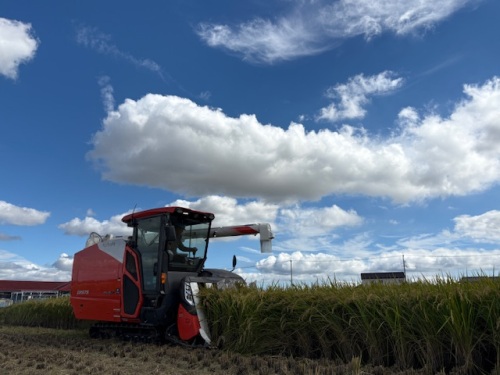 生産者の苦労と優しい想いがギュッと詰まった、“新米”です。