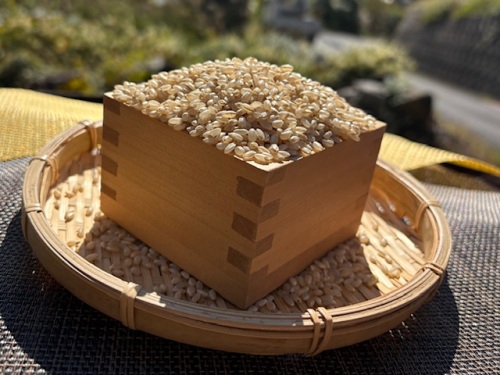 たくさんの愛情と優しい気持ちがこもった、新米です