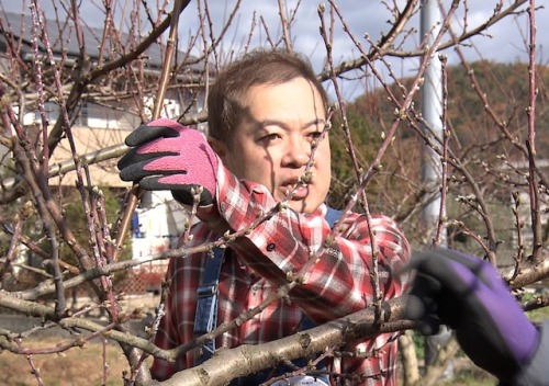 質問するハローさん
