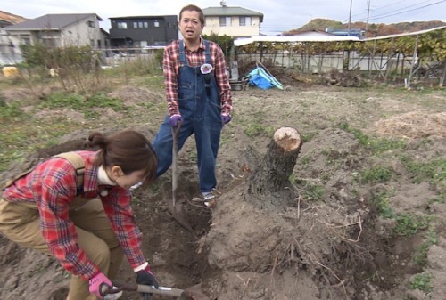 土作り中の古米リポーターとハローさん