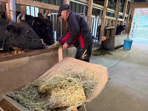 繁殖農家の仕事