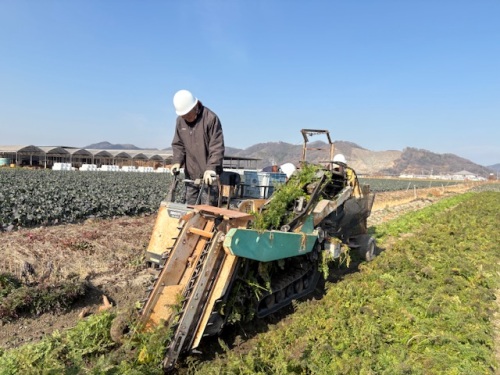 機械を使って、どんどん収穫!