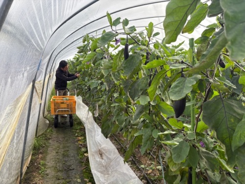 川脇 裕和さんのハウス