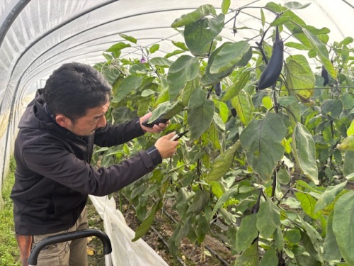 日々、頑張っています