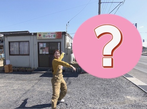 導入した“あるもの”