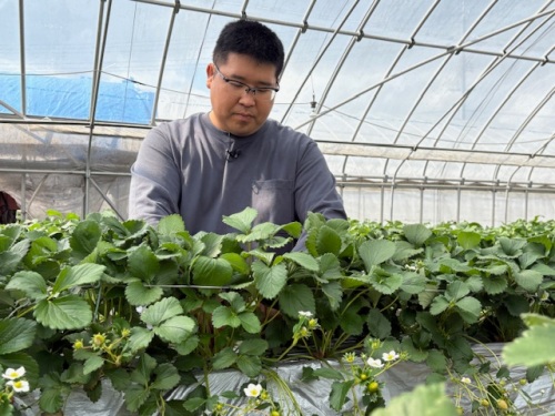 作業中の奥山さん