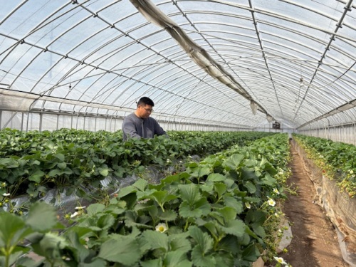 作業中の奥山さん2