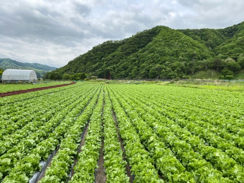 農産物紹介 Jaグループ岡山 笑味 えみ ちゃん天気予報 Rsk山陽放送