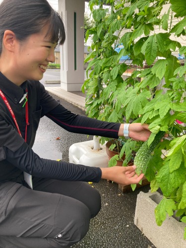 みどりのカーテン | 津山市　近藤さん