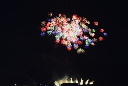 夜空にお花畑が…！ | 高松市　ジェネラル・ポチさん