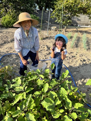 おっきなナスがとれたよ | 岡山市　ビッグムーンさん