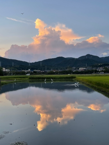 長閑な夕飯のひととき！ | 総社市　ななさん