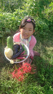 夏野菜と彼岸花 | 岡山市　くまごろーさん