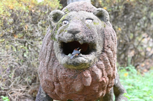 ライオンに食べられそう | 早島町 マンさん