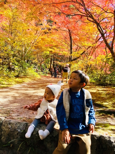 初めての紅葉 | 津山市　ごんごんさん