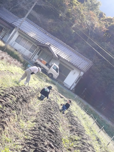 銀沫収穫 | 赤磐市　かーかんさん