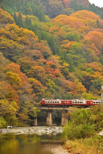 山間の紅葉 | 井原市　原田さん