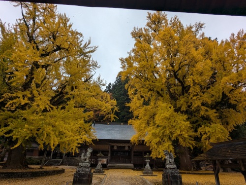 福田神社のイチョウ | 赤磐市　岡山8940さん