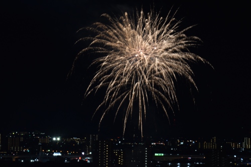 都会の夜空に咲く大輪の花 | 高松市　ジェネラル・ポチさん